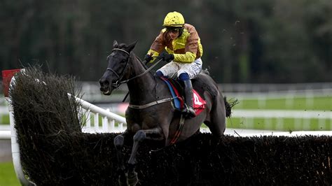 cheltenham non runner no bet